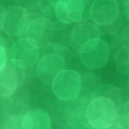 Bokeh-440
